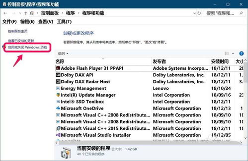 Win10系统下正确安装IIS互联网信息服务的完整指南