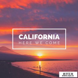 社交论坛广告设计如何脱颖而出 创意与用户体验的双重奏